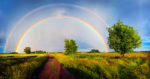 Double Rainbow לרדוף אחרי האושר